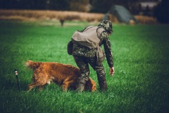 579673c8d4da5a023324ac5a529e41bc_246