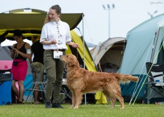 57a02d7bd076eaaf607a7b717ac5ebd7_237