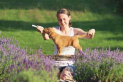 5856ec775c385cc3bec58d77e1fcc310_246