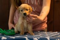 588804a3753a77decdda3e75ee4880cc_194