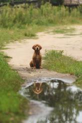 58a1d90585c03bdb7caf889c22bb813c_164x246_fill