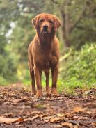 58bab60f53a9710553a6a22a6f73e900_138x184_fill