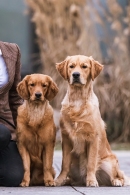 58de55b4c3d9c492823834bae8b1d28a_130x195