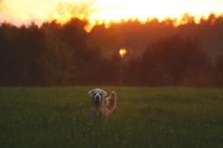 58ea896804cc299b906dff157a448c96_246x164_fill