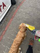 5903d48b08bae2a9e927cf15242539ac_138x184_fill