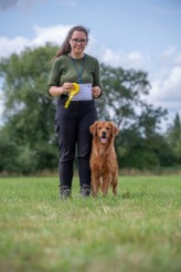 59054acd51aeb086cfc096a93a7a6f0f_164x246_fill