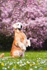 5954a9f15fc8c94251d5d07e9acce3ed_164x246