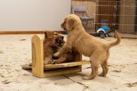 59598f300d82030dfbd1bdd93631ca44_195x130_fill