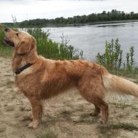 595d13e17ed96b7404f3f5063f5eb27a_200x200_fill