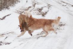 5960205c9855782cdce67bbcfbd14781_245