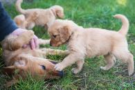 59725a37ee396c43b49682d878a47a6a_195x130_fill