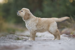 598bccd691f8b147dab5c63a9dc656b4_246