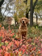 599230cb24e8ec8b7a0e0c64453a8464_138x184_fill