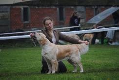 59a67beb16010ea3f525a87a18a39dac_244