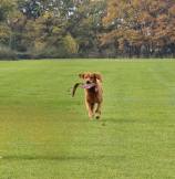 59b9ff7621dba7cf17b4a432944c3978_158x162