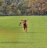 59b9ff7621dba7cf17b4a432944c3978_198x203