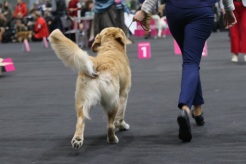 59c9a1d7e6c41460ea8b5ef5a68548cf_246