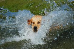 59d3e0f78ebb086754221a8d73e4b595_244