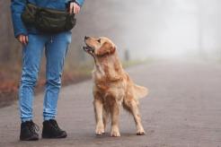 5a1e78eb229c651bc79eae95a6fe5adc_246x164_fill