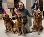 5ad06379a5480f7d2d5c47ac9f865300_175