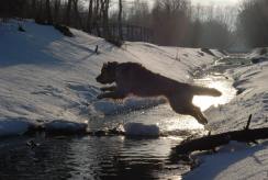 5ad9ce9218e4a923bad3b52b68720062_244