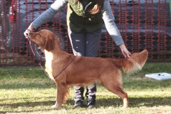 5b38a08443bd75e7c11da14594a6cf23_245