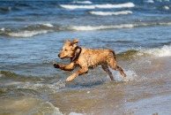 5b403ab7d6821d7ccc1f56e046a8e700_194