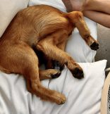 5b4314c3d7e8f35f5b1fc389987dd06e_156x162