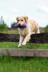 5b6a43f6ac250620baa1931f34c5c4de_164x246