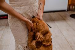 5bbc850e525eb34f7b13c57ed6de13aa_245