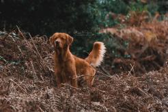 5bd51e17a38a647a22b57a030af8ded5_246x164_fill