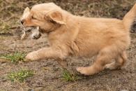 5bfdc3989f3b23185de321e964e3105a_195x130_fill