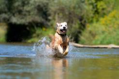 5c3ab0d625cde6b199e2930b46772d38_246x164_fill