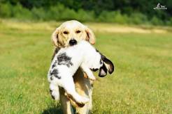 5c3d572ffc2d8a3e898e0c094d97481b_246