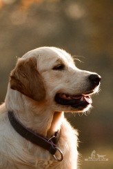 5c48af26bfefe3936fe32019895333bd_164x245