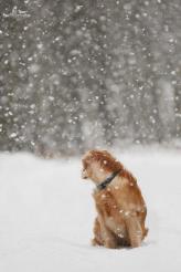 5c4f2a67ffa655461fae03dfbbb998ca_164x246