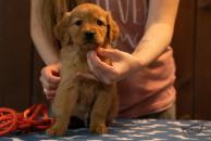 5c5728c7f08699aece08a0b0b74a44de_194