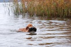 5c637c14f3536ad1b3ad716ccb26697a_246x164_fill