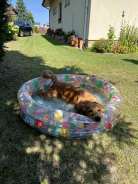 5c92bcbe1aa81e6e040b36fc5d76807b_138x184_fill