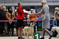 5cd79b5794def8b98b9d9092f3a7d892_245