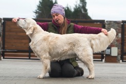 5d0ed629824f8f597dfa9a1a5d101213_246