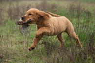 5d1d58d1a2e58a8d79f948ad37c7ef78_195x130_fill