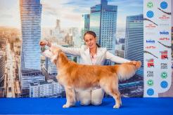 5d4830fb3ff6f9c9c63cd92cb5ee4f13_246x164_fill