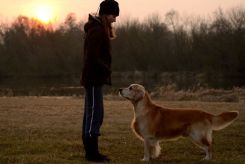 5d56c3d9dcc8b32c37d6e5d337e30b3d_245