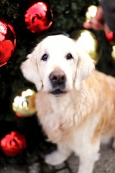 5d5f61c0291d44e1e13c2be7ff91b8f1_164x246