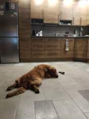 5d61b82723212b4bd71a84f2878d197c_174x232_fill