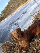 5d6590ae7a1652eda7917fef39d431c9_138x184_fill