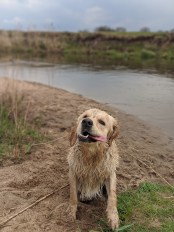 5d718a9e4d35d2d76c03a342b62f2959_174x232_fill