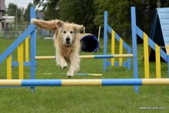 5d88607c698f6c53f8914e8f6e64d5cb_245