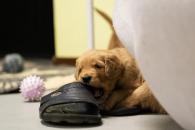 5da3fa7e57c13fbc39ed686ef233bd0c_195x130_fill